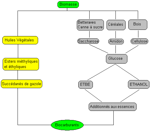 Carburants Et Biocarburants