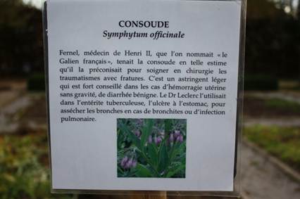 CONSOUDE [R�solution de l'�cran].JPG