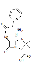 AMPICILLINE.gif