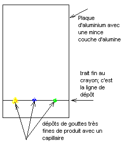 MB-310 Exam Fragen