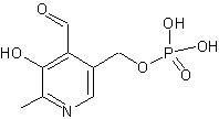PHOSPHATEPYRIDOXAL