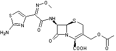 CEFOTAXIME.gif